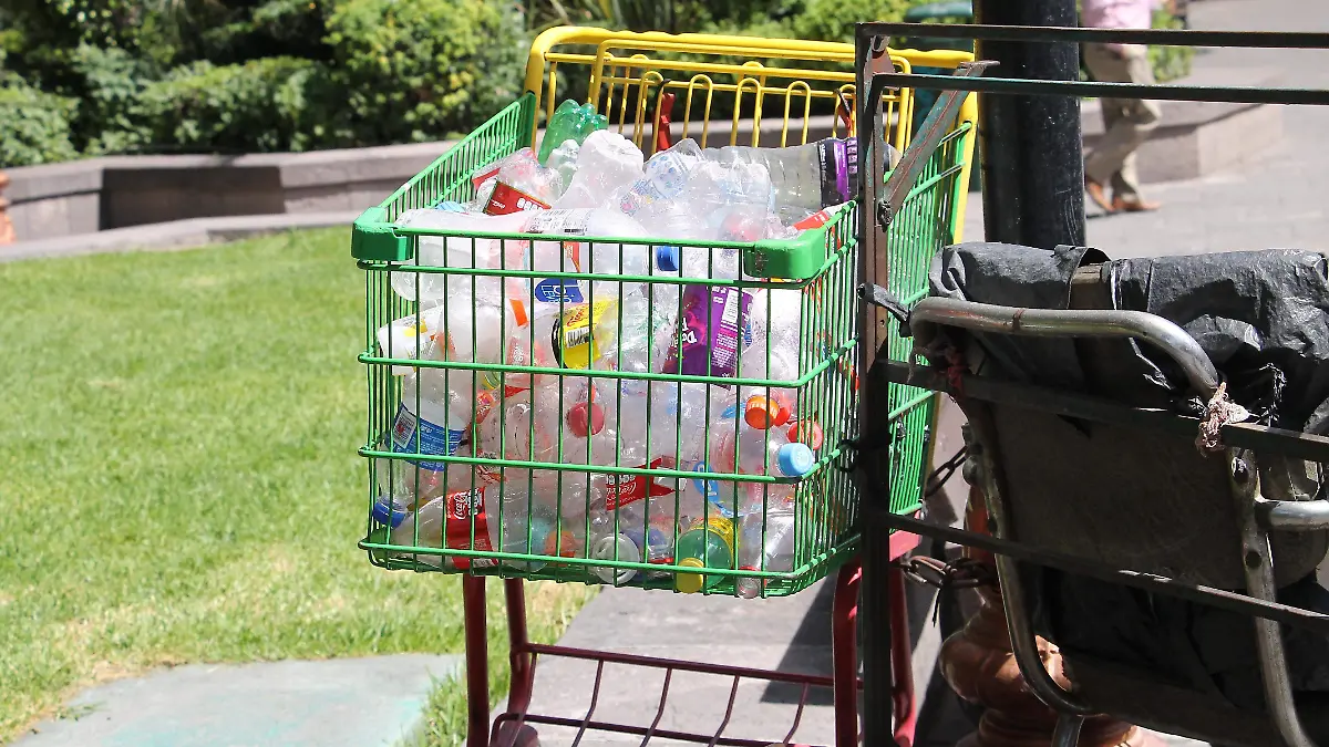 PEPENADORES BUSCAN PLASTICOS EN BOTES DE BASURA